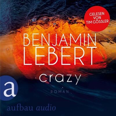 Aufbau Audio Crazy Aufbau Audio Crazy