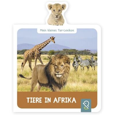Klein & groß Verlag Tiere in Afrika Klein & groß Verlag Tiere in Afrika