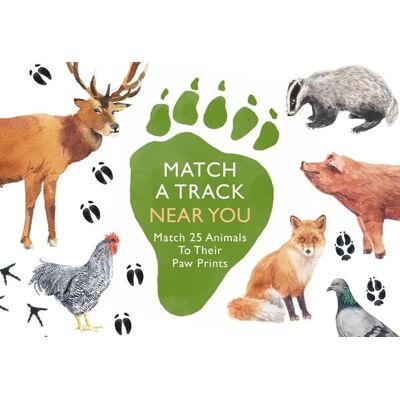 Orion Match a Track Near You Orion Match a Track Near You