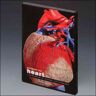 Human Kinetics Pub Inc Exploring the Heart: A 3D Overview of Anatomy and Pathology