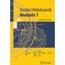 Springer Berlin Analysis 1