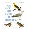 Junius Was piept und fliegt in Hamburg?