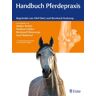 Enke Handbuch Pferdepraxis