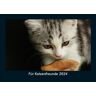 Vero Kalender Für Katzenfreunde 2024 Fotokalender DIN A5