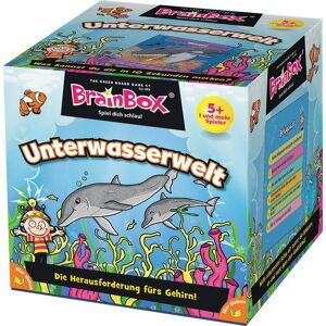Green Board Games Green Board - BrainBox - Unterwasserwelt