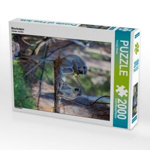 Calvendo Puzzle Meerkatzen (Puzzle)