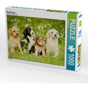 Calvendo Puzzle Bunte Hunde (Puzzle)