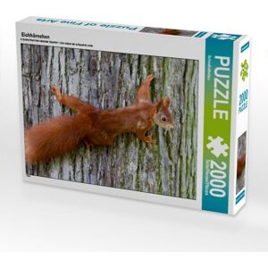 Calvendo Puzzle Eichhörnchen (Puzzle)