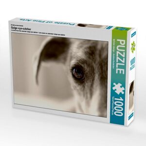 Calvendo Puzzle Ein Motiv aus dem Kalender Galgo eye-catcher (Puzzle)