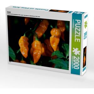 Calvendo Puzzle Chilli (Puzzle)