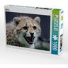 Calvendo Puzzle Gepard (Puzzle)