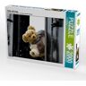 Calvendo Puzzle Teddy unterwegs (Puzzle)