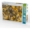 Calvendo Puzzle Bienenbrut wird produziert (Puzzle)