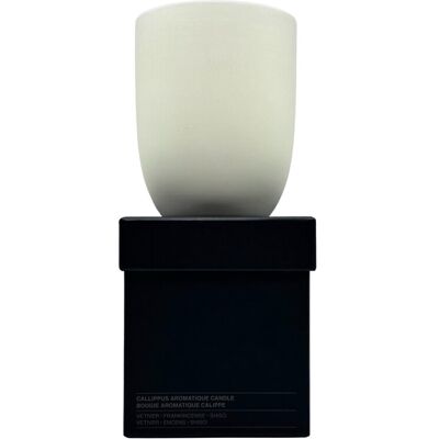 Aesop Callippus Aromatique Candle - Duftkerze Aesop Callippus Aromatique Candle - Duftkerze