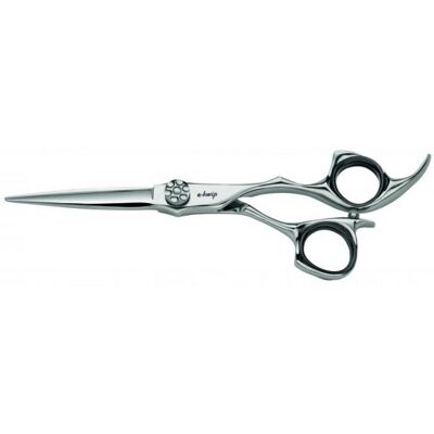 HS Schere e-kwip Galaxy 5,5" Haarschneideschere HS Schere e-kwip Galaxy 5,5" Haarschneideschere