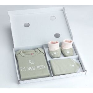 Bornino 3-tlg. Geschenkset Body langarm, Schühchen und Dreieckstuch gruen 62/68 unisex Bornino 3-tlg. Geschenkset Body langarm, Schühchen und Dreieckstuch gruen 62/68 unisex