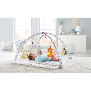 Fisher-Price Spielbogen 5-Sinne mehrfarbig unisex