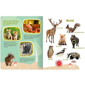 arsEdition Soundbilderbuch Mein großes Buch der Tiergeräusche mehrfarbig unisex arsEdition Soundbilderbuch Mein großes Buch der Tiergeräusche mehrfarbig unisex