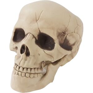 buttinette Totenkopf, beige, 21 cm - Size: 16 x 14 x 21 cm