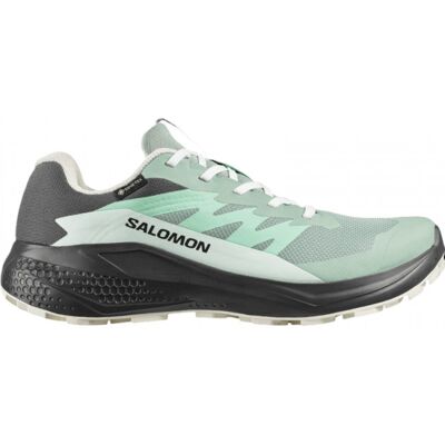 Salomon Alphaglide GTX, Laufschuhe, Damen, grün/grau Salomon Alphaglide GTX, Laufschuhe, Damen, grün/grau