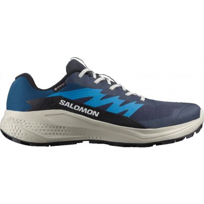 Salomon Alphaglide GTX, Laufschuhe, Herren, blau Salomon Alphaglide GTX, Laufschuhe, Herren, blau