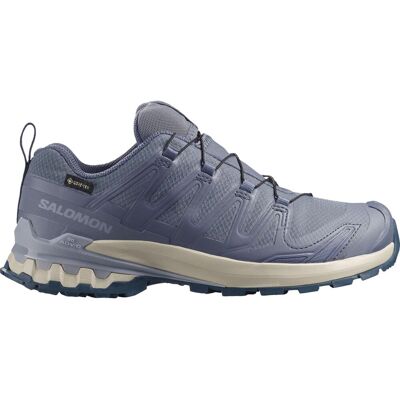 Salomon XA PRO 3D V9 GTX, Trailschuhe, Damen, grau/blau Salomon XA PRO 3D V9 GTX, Trailschuhe, Damen, grau/blau