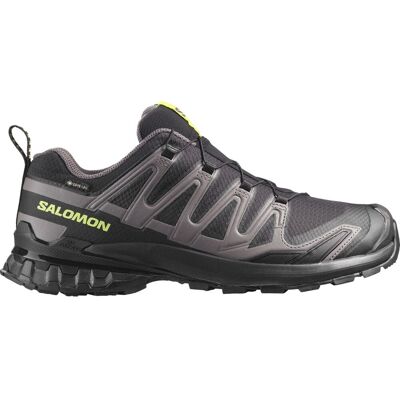 Salomon XA PRO 3D V9 GTX, Trailschuhe, Herren, schwarz/grün Salomon XA PRO 3D V9 GTX, Trailschuhe, Herren, schwarz/grün