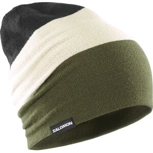 Salomon Flatspin Reversible Beanie, dunkelgrün