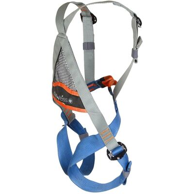 Edelweiss Harnais Spider Junior-2, Klettergurt, Silber/Blau Edelweiss Harnais Spider Junior-2, Klettergurt, Silber/Blau