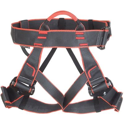 Edelweiss Mygale-2 Harness, Klettergurt, schwarz Edelweiss Mygale-2 Harness, Klettergurt, schwarz