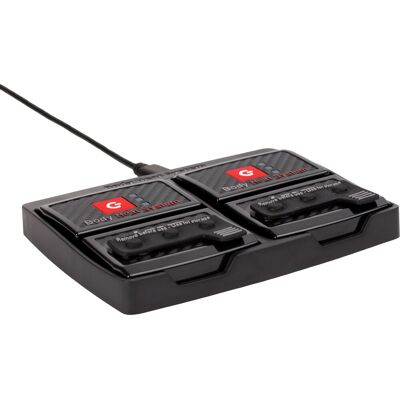Lenz Lithium Pack rcB 1400 Lenz Lithium Pack rcB 1400
