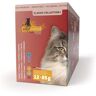 Catz finefood Multipack 12x85g Multipack 1