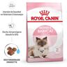 ROYAL CANIN Mother & Babycat 4 kg