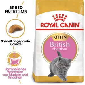 ROYAL CANIN British Shorthair Kitten 10 kg ROYAL CANIN British Shorthair Kitten 10 kg