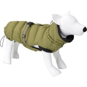 AniOne Delia Grüner Hundemantel - Winter Produktart AniOne Delia Grüner Hundemantel - Winter Produktart