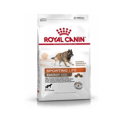 ROYAL CANIN ENERGY 4300 (TRAIL) 15 kg ROYAL CANIN ENERGY 4300 (TRAIL) 15 kg