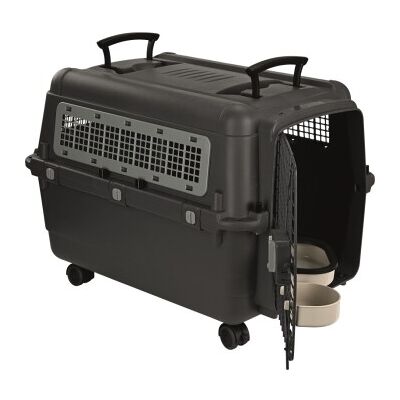 AniOne Haustiertransportbox - Klein, Mittel, Groß AniOne Haustiertransportbox - Klein, Mittel, Groß
