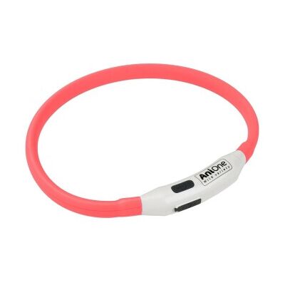 AniOne LED-Halsband 35CM - Sichtbarkeit für kleine Hunde AniOne LED-Halsband 35CM - Sichtbarkeit für kleine Hunde