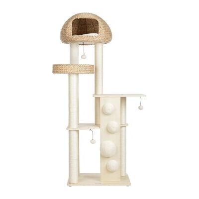 more LIFESTYLEPETS lifestyle Kratzbaum Albertus more LIFESTYLEPETS lifestyle Kratzbaum Albertus