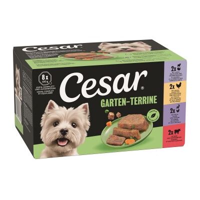 Cesar Nassfutter Hund Adult Multipack Garden Terrine 3x8x150g Cesar Nassfutter Hund Adult Multipack Garden Terrine 3x8x150g