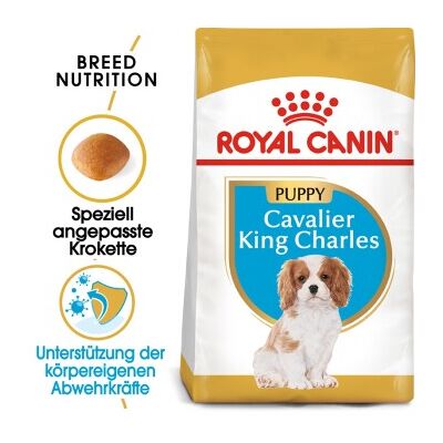 ROYAL CANIN Cavalier King Charles Puppy 1,5kg ROYAL CANIN Cavalier King Charles Puppy 1,5kg