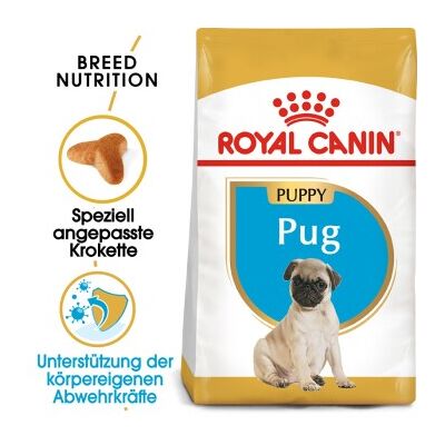 ROYAL CANIN Mops Puppy 1.5 kg ROYAL CANIN Mops Puppy 1.5 kg