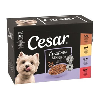 Cesar Creations Nassfutter Hund Senior Senior in Gelee 4x12x100g Cesar Creations Nassfutter Hund Senior Senior in Gelee 4x12x100g