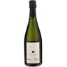 Stephane Regnault Champagne Grand Cru Le Mesnil Sur Oger Dorien N°45 Extra Brut