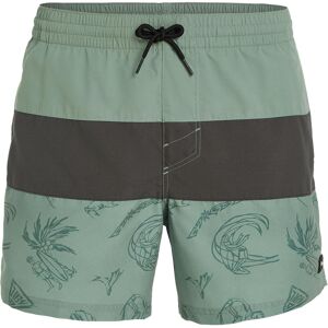 O'NEILL Mix & Match Badehose Herren grün S