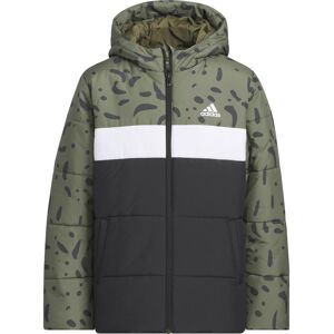 Adidas COLORBLOCK Steppjacke Jungen oliv 128