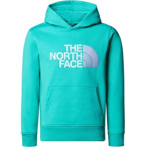 The North Face DREW PEAK Hoodie Kinder blau 158/164