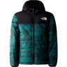 The North Face Mountain Essentials Steppjacke Jungen grün 146/152