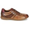 Lloyd Sneaker Herren Davos H Braun,