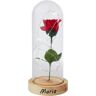 genialo LED-Glas "Ewige Rose" personalisiert mit Namen